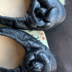 WhatsApp Image 2022-07-04 at 14.46.37