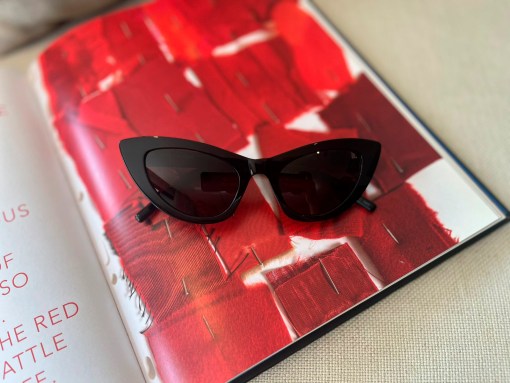 culos Yves Saint Laurent (1)