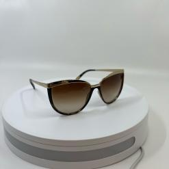 WhatsApp Image 2024-01-31 at 10.50.04